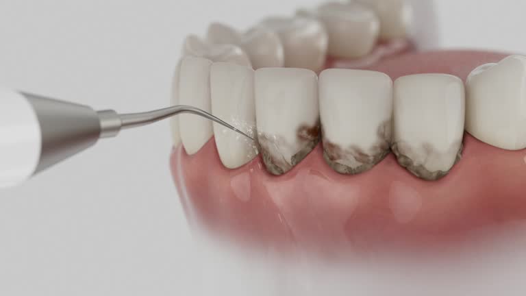 Reliable Dental contractor in Fredericksburg, TX by Dentist Open Now